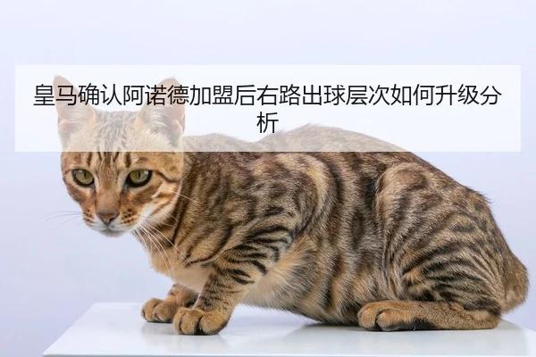 皇马确认阿诺德加盟后右路出球层次如何升级分析