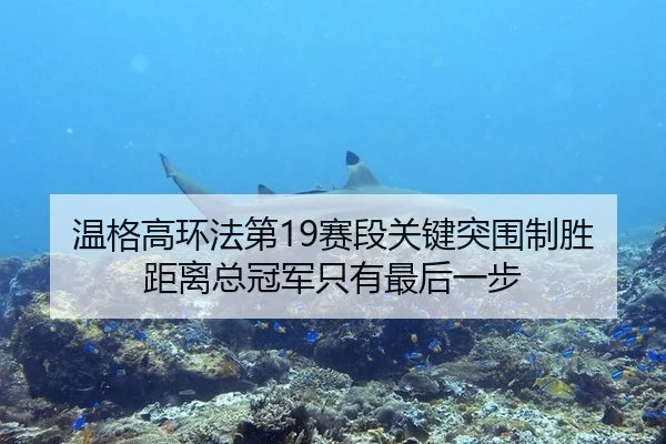 温格高环法第19赛段关键突围制胜 距离总冠军只有最后一步