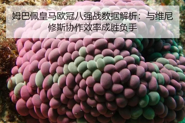 mu-ba-pei-huang-ma-ou-guan-ba-qiang-zhan-shu-ju-jie-xi-yu-wei-ni-xiu-si-xie-zuo-xiao-lv-cheng-sheng-fu-shou-3-183.jpg